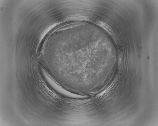 X0000059841022200511111739