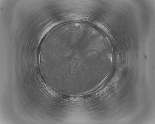 X0000059841023200511111739