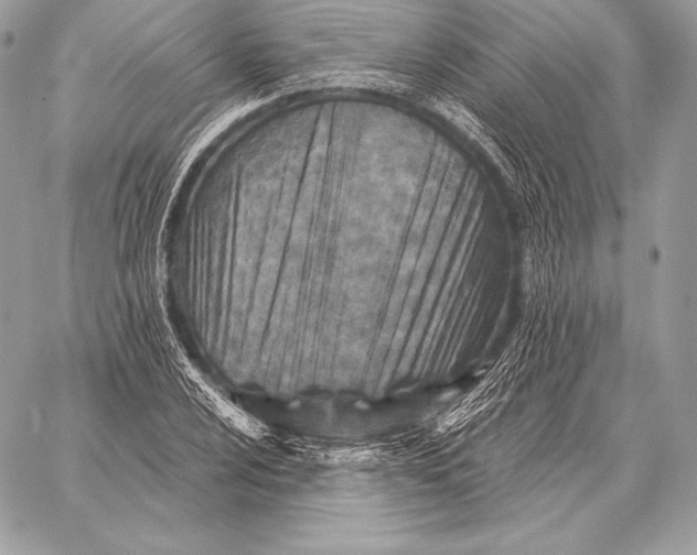 X0000059841024200511111739