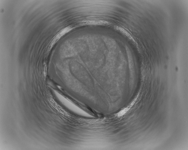 X0000059841025200511111739