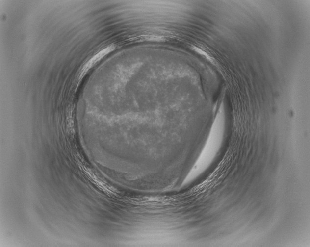 X0000059841026200511111739