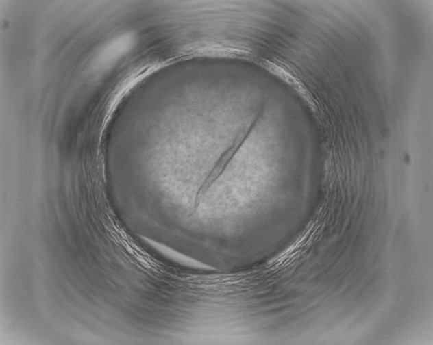 X0000059841027200511111739