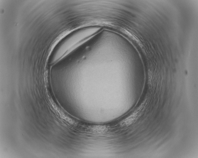 X0000059841029200511111739