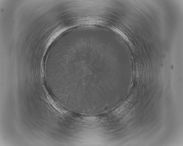 X0000059841031200511111739