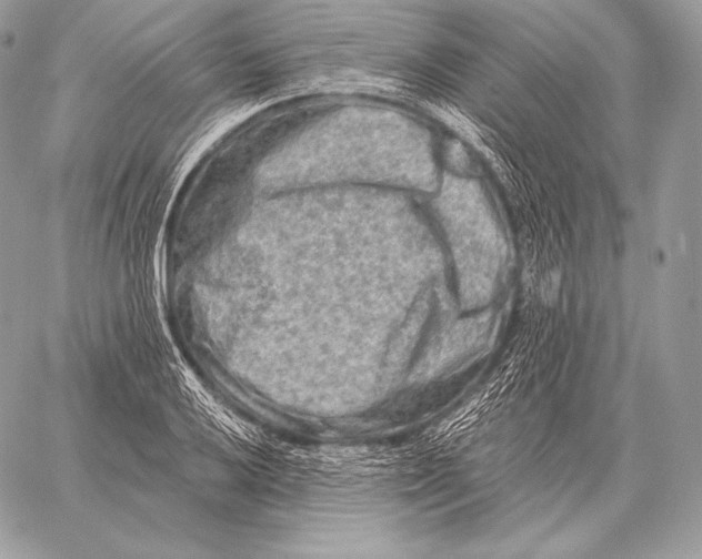 X0000059841032200511111739