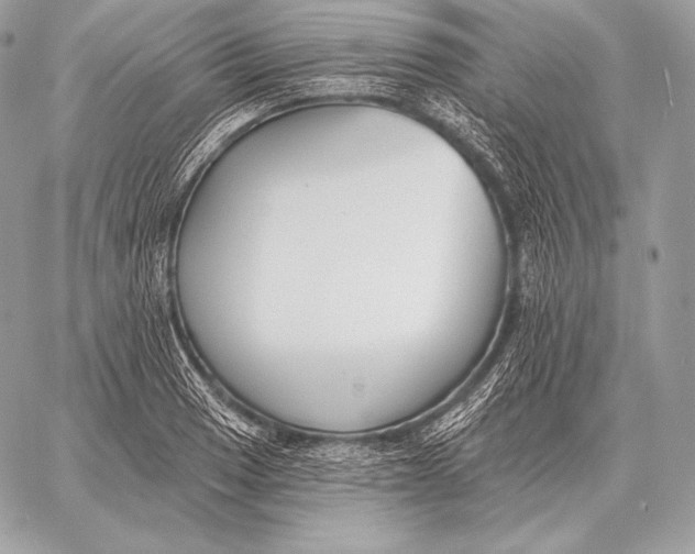 X0000059841033200511111739