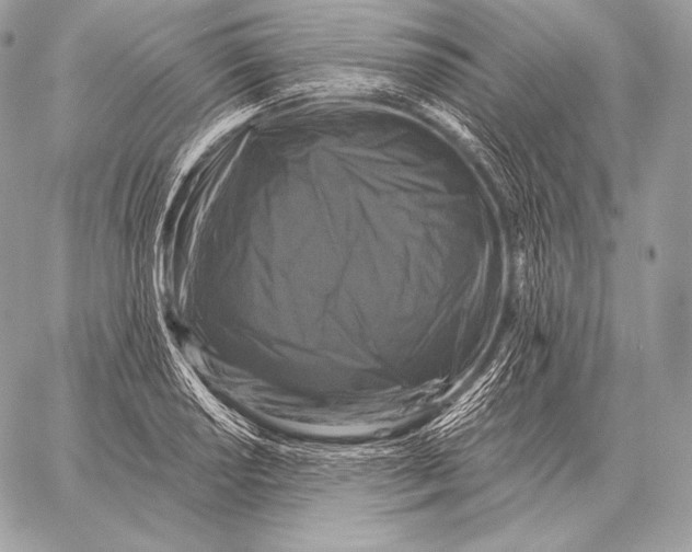 X0000059841034200511111739