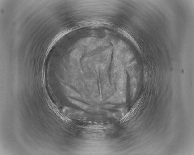 X0000059841035200511111739