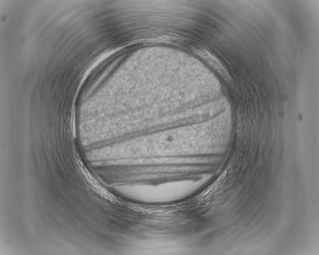 X0000059841036200511111739