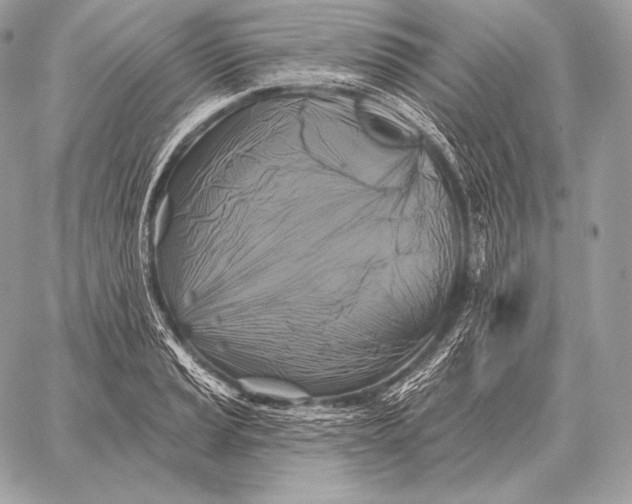 X0000059841037200511111739