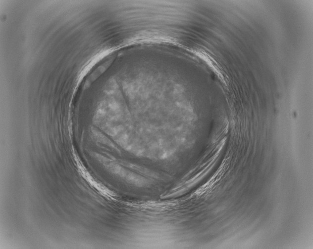 X0000059841038200511111739