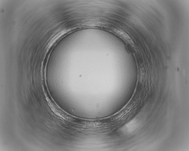 X0000059841039200511111739