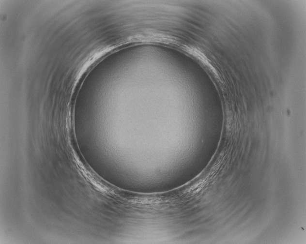 X0000059841040200511111739