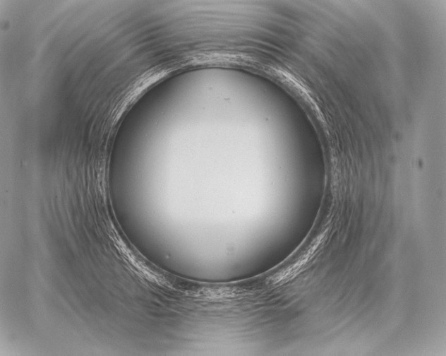 X0000059841041200511111739