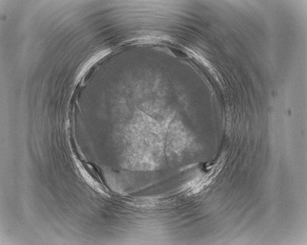 X0000059841042200511111739