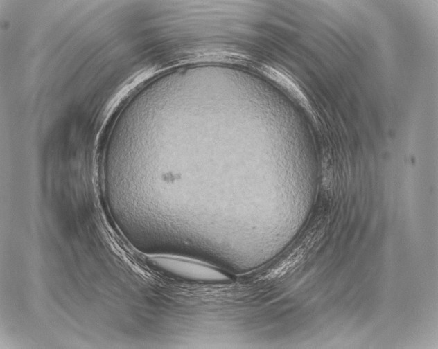 X0000059841043200511111739