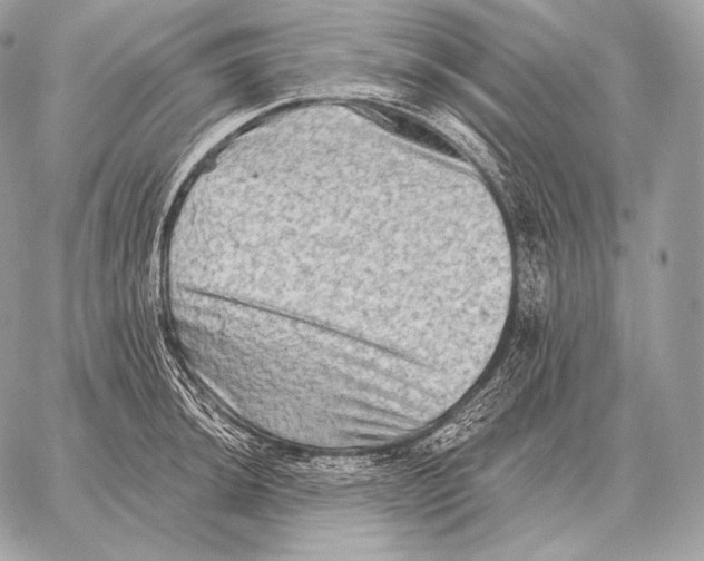 X0000059841044200511111739