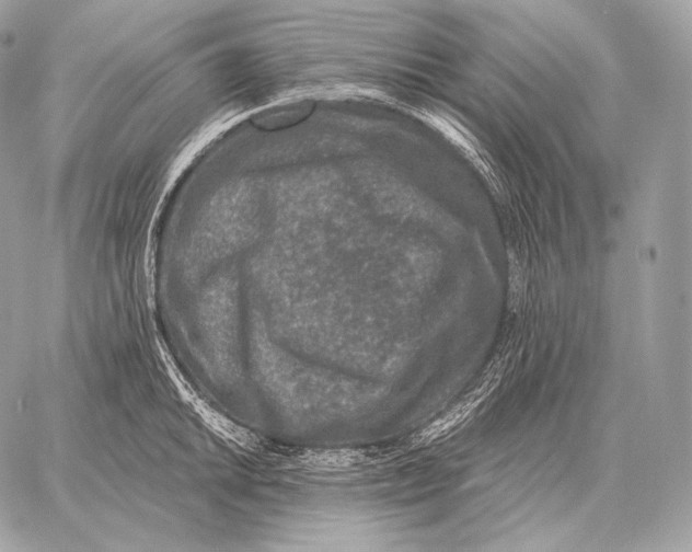 X0000059841046200511111739