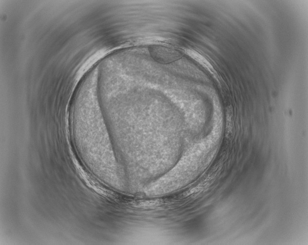 X0000059841047200511111739