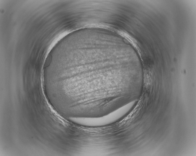 X0000059841048200511111739