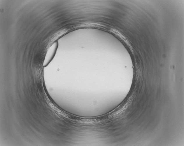 X0000059841049200511111739