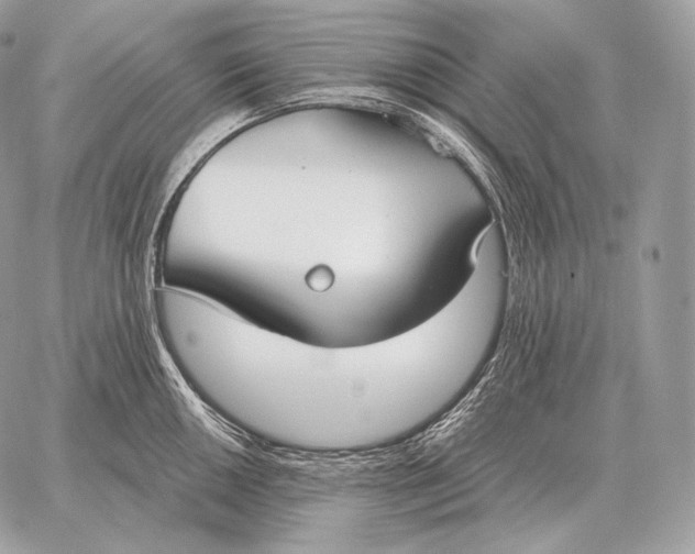 X0000059841050200511111739