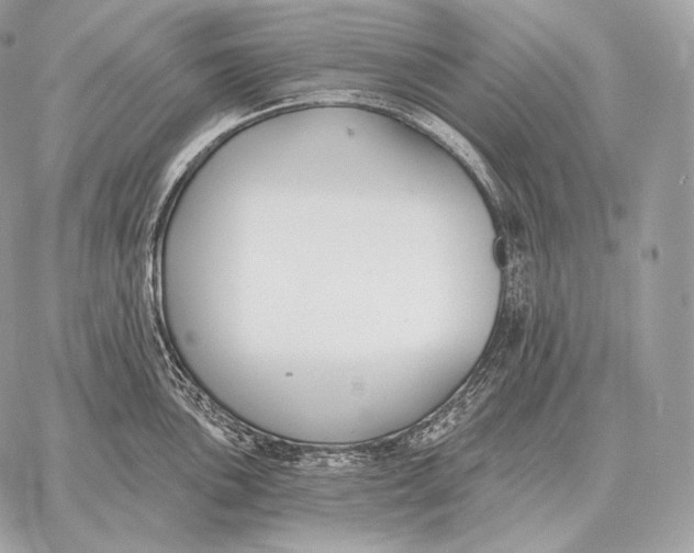 X0000059841051200511111740