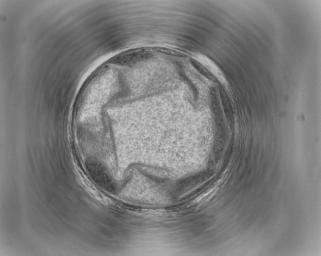 X0000059841052200511111740