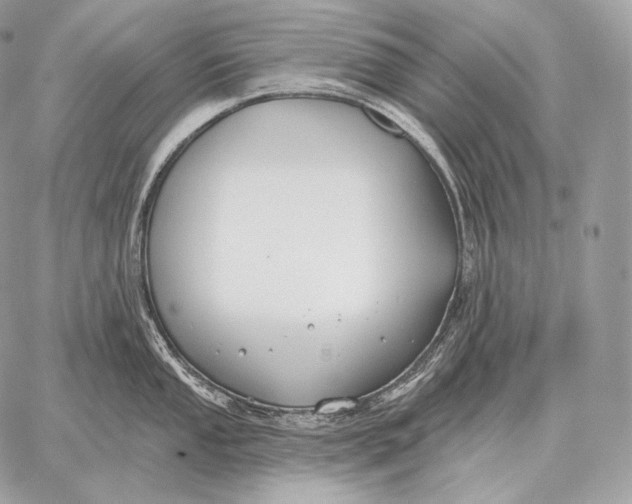 X0000059841053200511111740