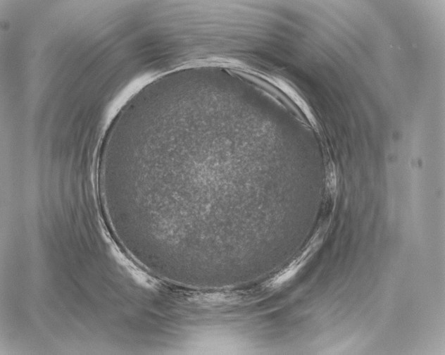 X0000059841054200511111740