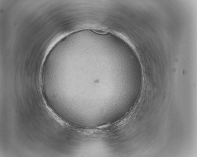 X0000059841056200511111740