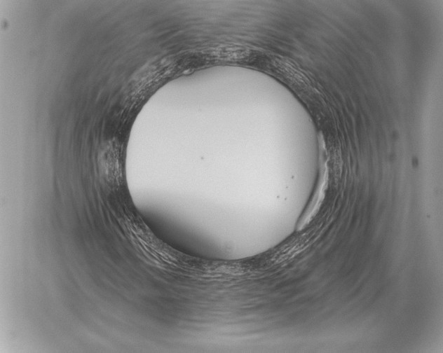 X0000059841058200511111739