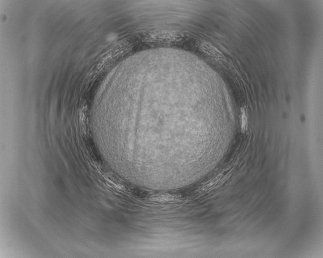 X0000059841059200511111739