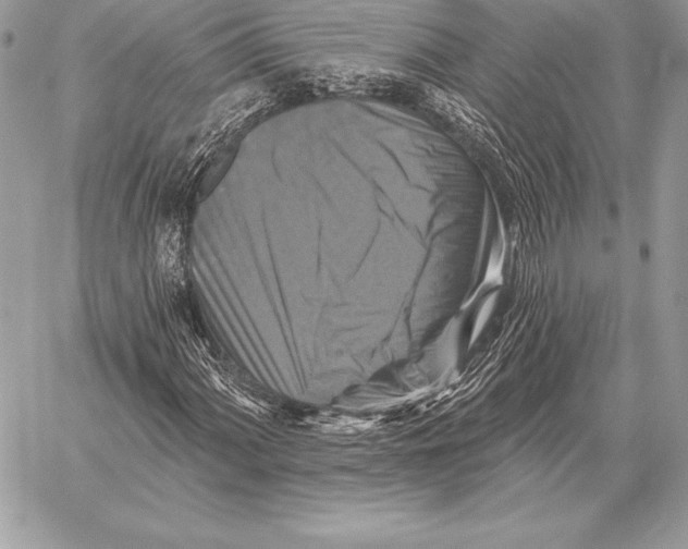 X0000059841060200511111739