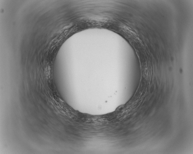 X0000059841061200511111739