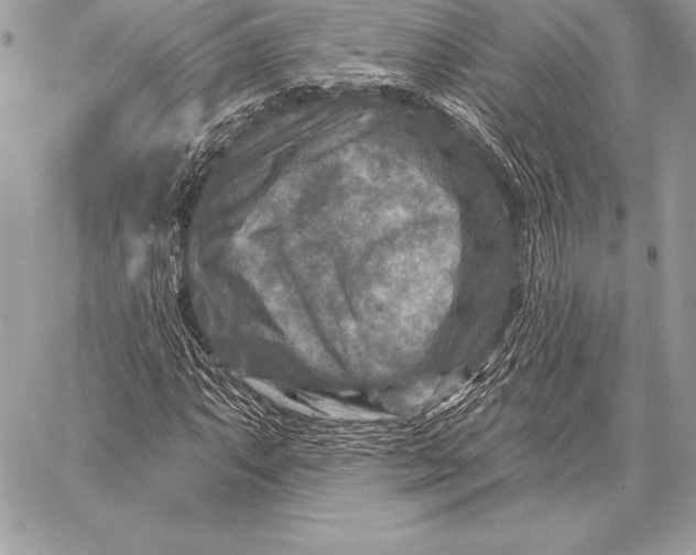 X0000059841063200511111739