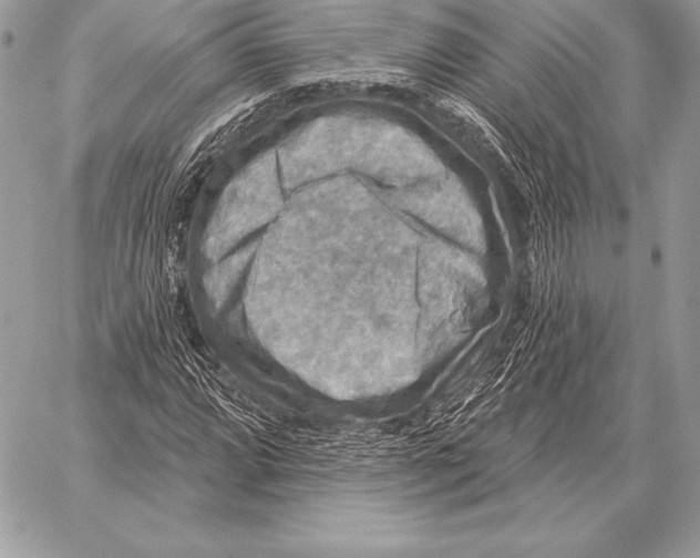 X0000059841064200511111739