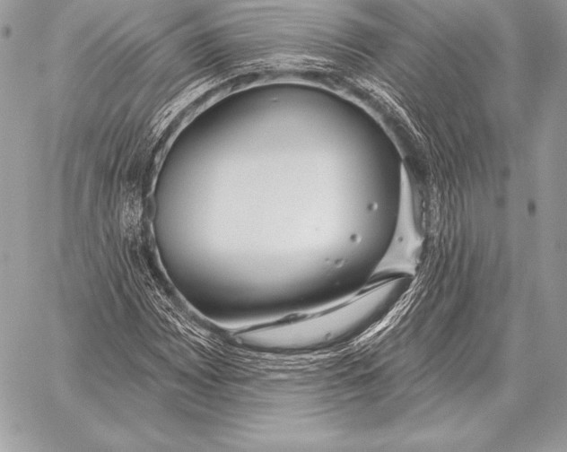 X0000059841065200511111739