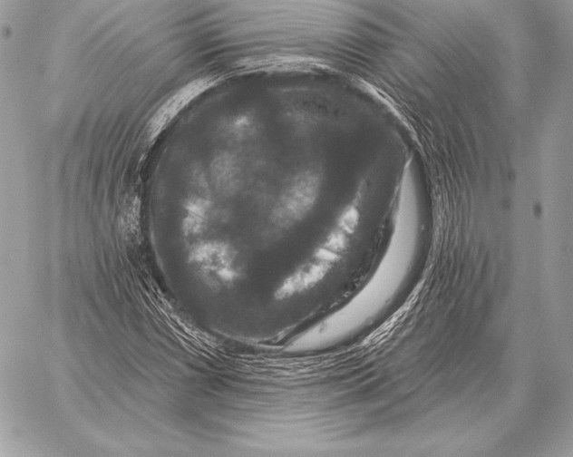 X0000059841066200511111739