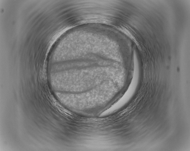 X0000059841068200511111739