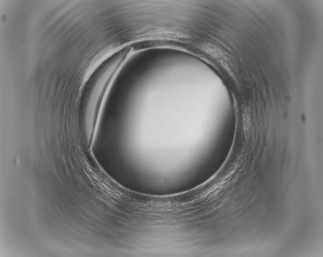 X0000059841069200511111739