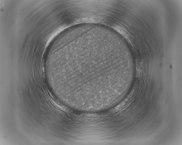 X0000059841070200511111739