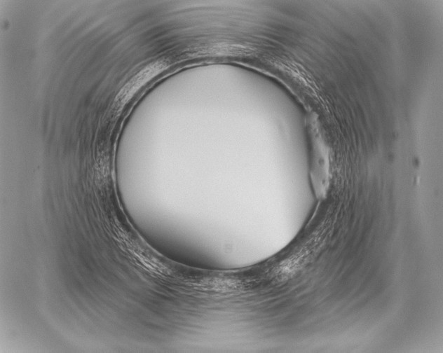 X0000059841073200511111739