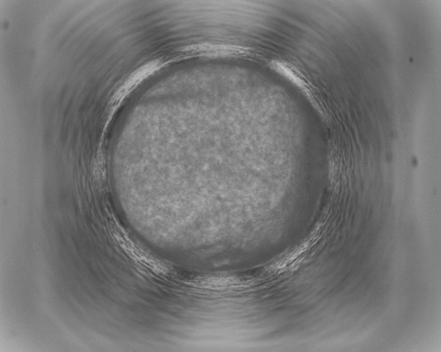 X0000059841074200511111739