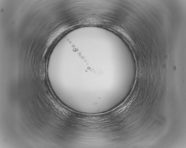 X0000059841075200511111738