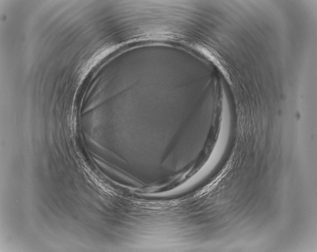 X0000059841077200511111738