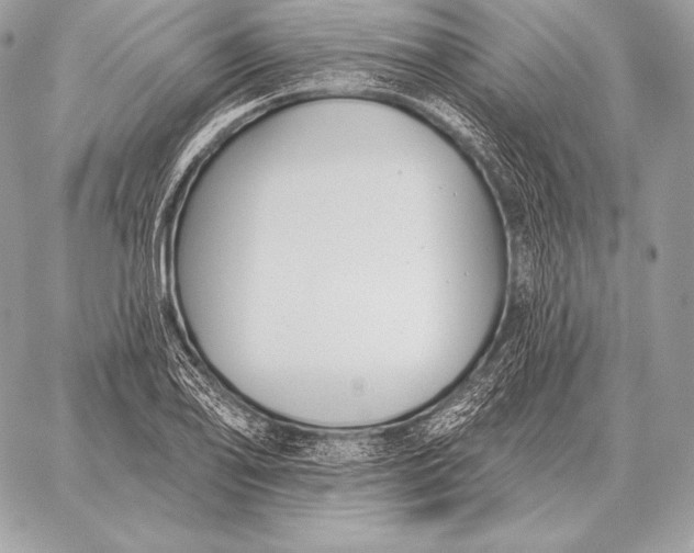 X0000059841078200511111738