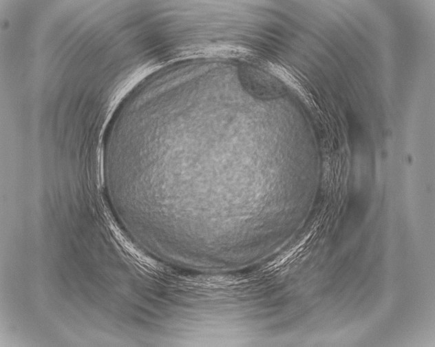 X0000059841079200511111738