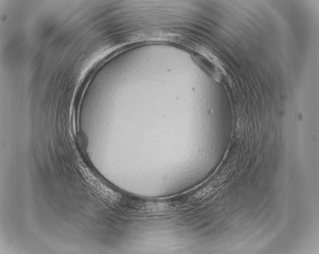 X0000059841080200511111738