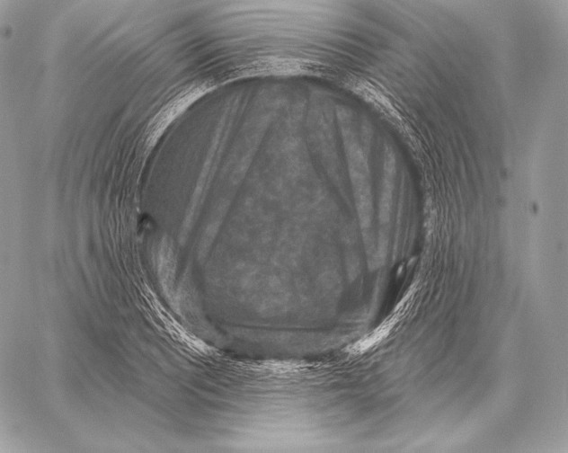 X0000059841081200511111738